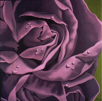 The rose