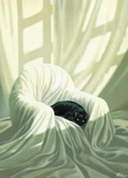 The black cat